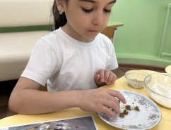 img_5
